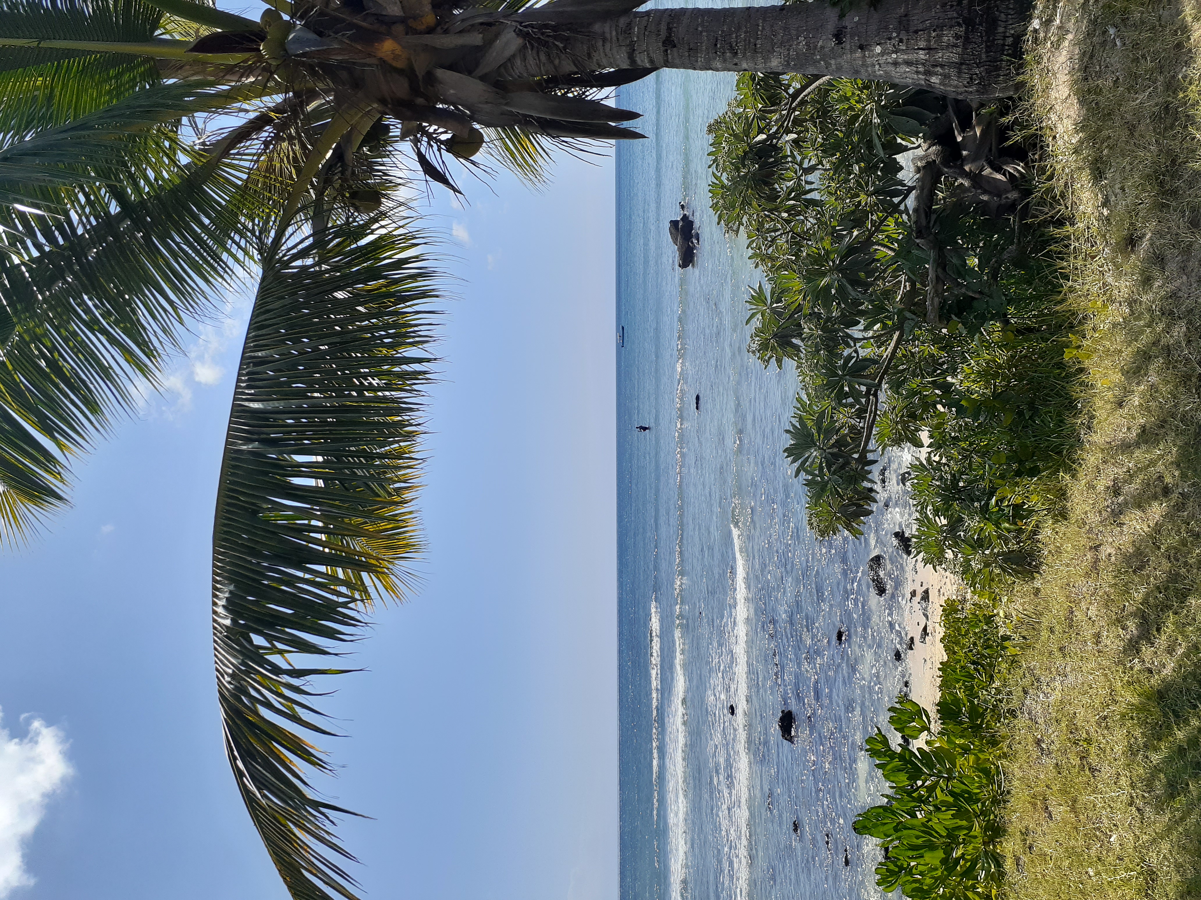 About - Ink Of Death